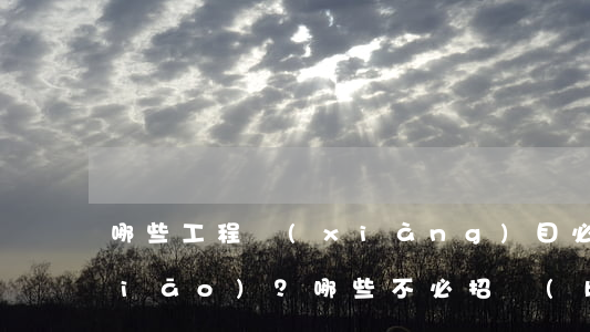 哪些工程項(xiàng)目必須招標(biāo)？哪些不必招標(biāo)？什么情況下中標(biāo)無效